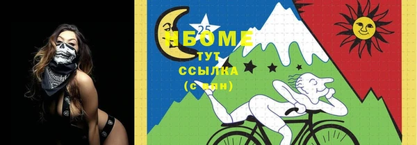 хмурый Алзамай