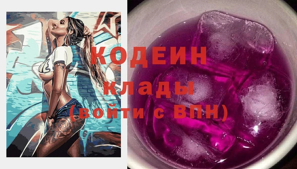 хмурый Алзамай
