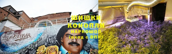 Альфа ПВП Елабуга