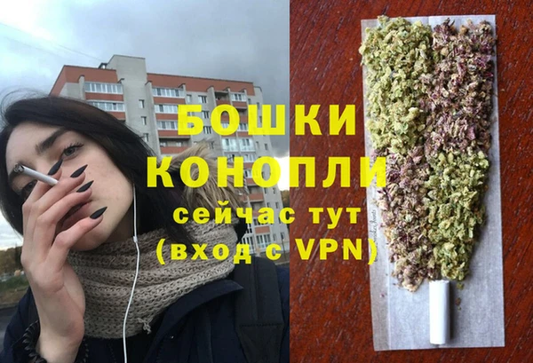 прущий лед Инта
